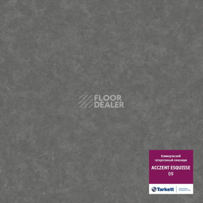 Линолеум Tarkett Acczent Esquisse 09 фото 1 | FLOORDEALER