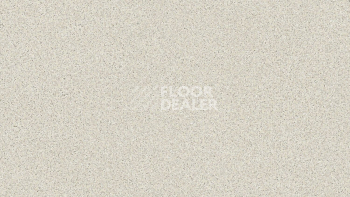 Линолеум Tarkett Craft Magnetic 1 фото 1 | FLOORDEALER