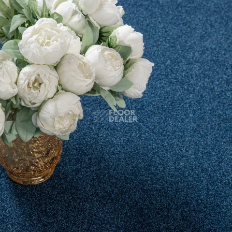 Haima Noble 58 фото 12 | FLOORDEALER