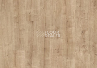 Parador Basic Plus 200 1593564 Дуб Шлифованный фото 2 | FLOORDEALER