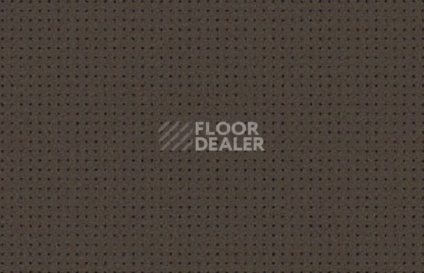 Ковролин Halbmond X-tra 12004 c 11 фото 1 | FLOORDEALER