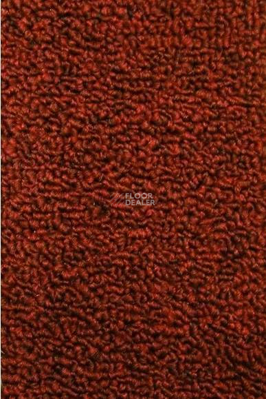 Ковролин Нева Тафт Астра 37 фото 1 | FLOORDEALER