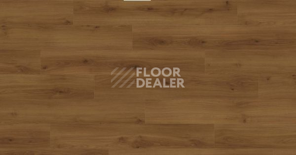 Ламинат Haro Tritty 200 Aqua 4V ДУБ ЭМИЛИЯ ЯНТАРНЫЙ 540241 фото 1 | FLOORDEALER
