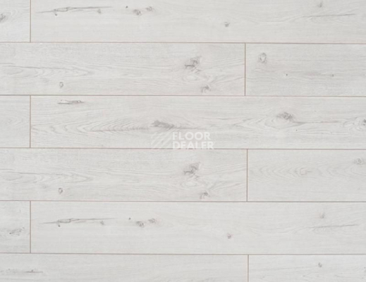 Ламинат My Step Terra Aqua Block MS198AB Дуб Латина фото 1 | FLOORDEALER