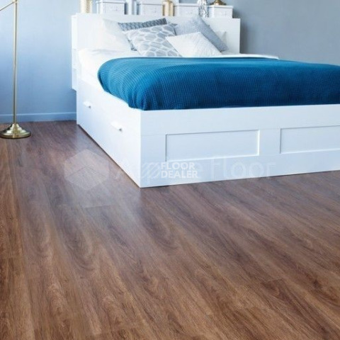 Alpine Floor Easy Line 3мм СОСНОВЫЙ БОР ECO 3-22 фото 3 | FLOORDEALER