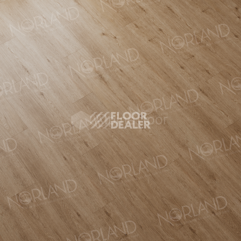Norland Sigrid Superior 8мм Abbi 1008-1 ABA фото 3 | FLOORDEALER