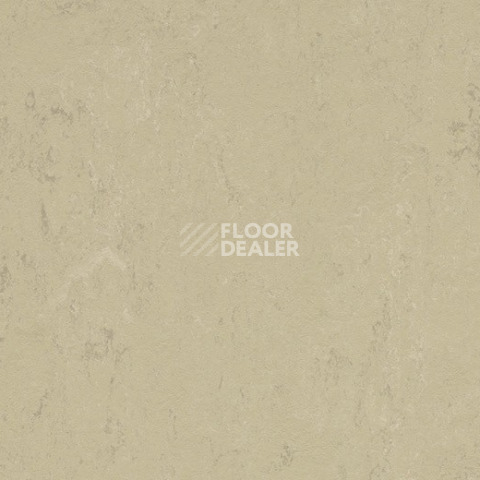 Линолеум Forbo Marmoleum Solid Concrete 3761 Titan фото 1 | FLOORDEALER