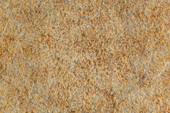 Forbo Flotex Colour Calgary 50*50 t 590006 Calgary Sahara фото 2 | FLOORDEALER