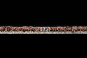 Desso Retrace ac 63 2086 фото 6 | FLOORDEALER