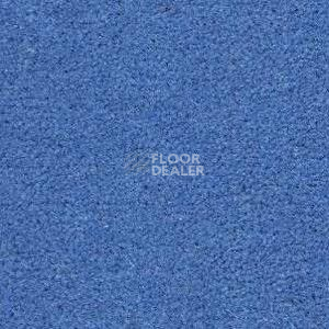 Ковролин Radici Montecarlo 27 фото 1 | FLOORDEALER
