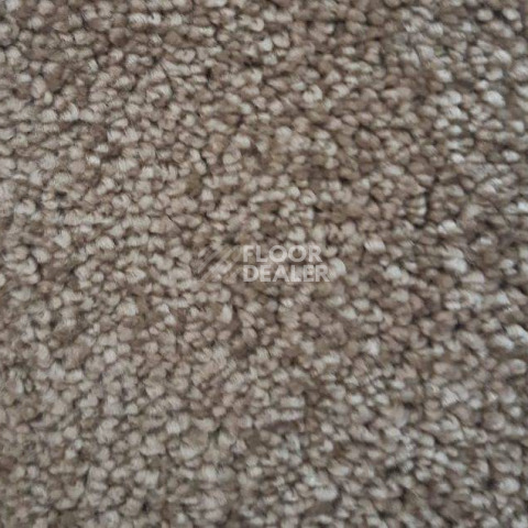 Ковролин Condor Carpets Dynasty 72 фото 1 | FLOORDEALER