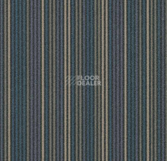 Ковровая плитка Forbo Flotex Linear t 550001 / t 553001 Complexity Grey фото 1 | FLOORDEALER