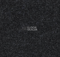 Ковролин Forbo Forte 96069 Black фото 1 | FLOORDEALER