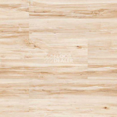 Wood замковое MAPLE фото 4 | FLOORDEALER