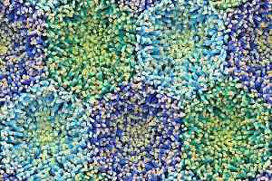 Ковролин Forbo Flotex by Mac Stopa 360001 f Blue Anemone фото  | FLOORDEALER