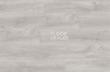 Moduleo Next Acoustic дерево SILVERLEAF OAK 292 BO фото 3 | FLOORDEALER