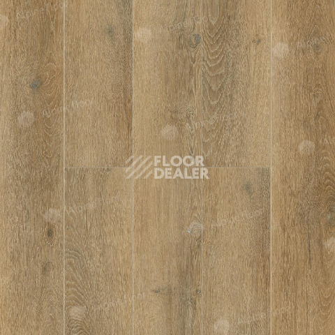 Кварцвиниловые полы Alpine Floor Premium XL 229 ECO 7-26 Дуб Франц фото 1 | FLOORDEALER