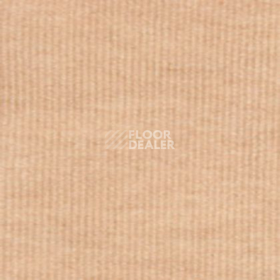 Ковролин Tapibel Nataly 35104 фото 1 | FLOORDEALER