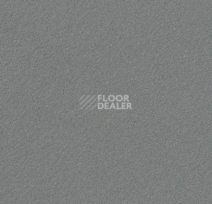 Линолеум Forbo Marmoleum Bulletin Board 2162 duck egg фото 1 | FLOORDEALER