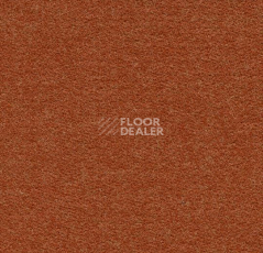 Ковролин Forbo Flotex wonderlab 07 900276 Terracotta фото 1 | FLOORDEALER