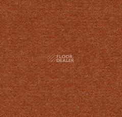 Ковролин Forbo Flotex wonderlab 07 900276 Terracotta фото 1 | FLOORDEALER