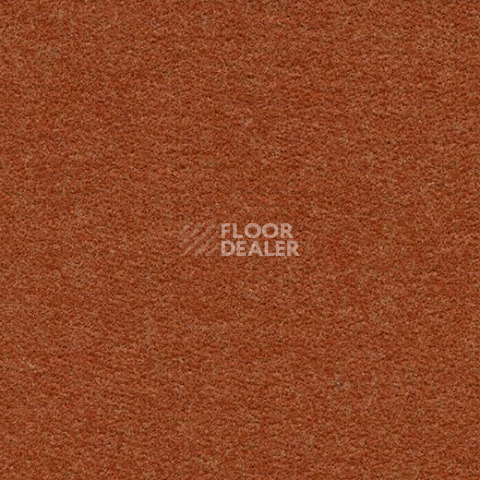Ковролин Forbo Flotex wonderlab 07 900276 Terracotta фото 1 | FLOORDEALER
