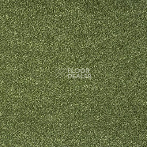 Ковролин Lano Dream 591 Moos 1 фото 1 | FLOORDEALER
