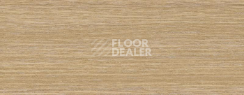 Плинтус Dollken EP 60/13 2638 фото 2 | FLOORDEALER