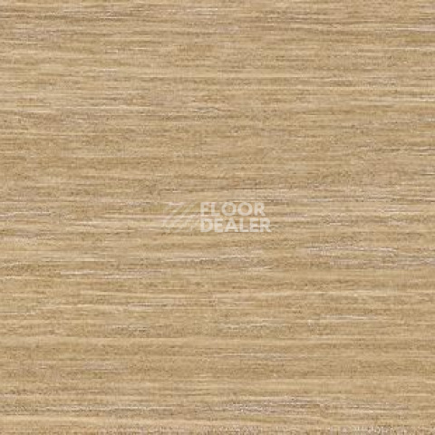 Плинтус Dollken EP 60/13 2638 фото 2 | FLOORDEALER