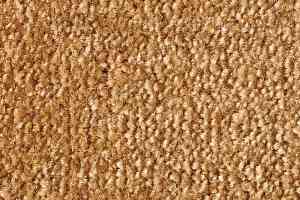 Ковролин Lano Sense Pure 338 фото  | FLOORDEALER