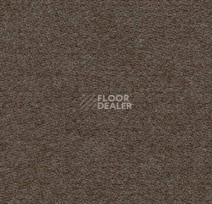 Ковролин Forbo Flotex wonderlab 07 900274 Espresso фото 1 | FLOORDEALER