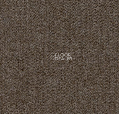 Ковролин Forbo Flotex wonderlab 07 900274 Espresso фото 1 | FLOORDEALER