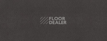 Плинтус Dollken EP 60/13 2343 фото 2 | FLOORDEALER