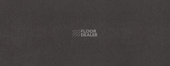 Плинтус Dollken EP 60/13 2343 фото 2 | FLOORDEALER