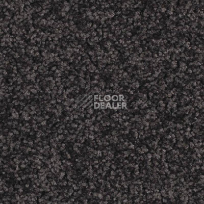 Ковролин Balsan Serenite 980 фото 1 | FLOORDEALER