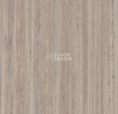 Линолеум Forbo Marmoleum Неожиданная природа 3573 фото 1 | FLOORDEALER