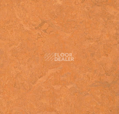 Линолеум Forbo Marmoleum Sport 83176 фото 1 | FLOORDEALER