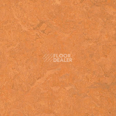 Линолеум Forbo Marmoleum Sport 83176 фото 1 | FLOORDEALER