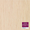 Линолеум Tarkett Standart Plus 913  | FLOORDEALER