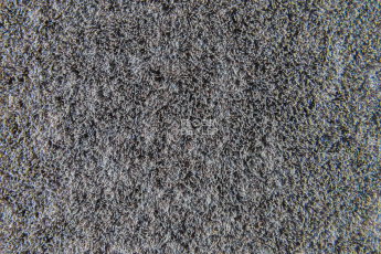 Forbo Flotex Colour Penang p 982017 Penang Nimbus фото 3 | FLOORDEALER
