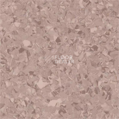 Линолеум Vertigo Victoria Plus V10013 Milk Chocolate фото 1 | FLOORDEALER