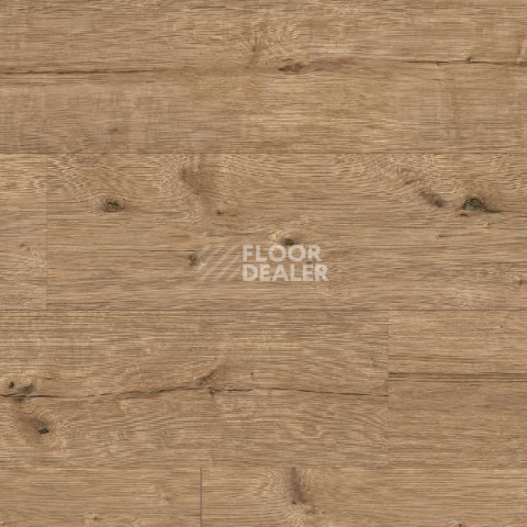 Ламинат Classen Arteo 8XL WR 55085 Adler Oak /8XL фото 1 | FLOORDEALER