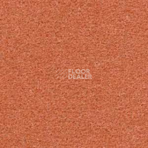 Ковролин Radici Montecarlo 57 фото 1 | FLOORDEALER