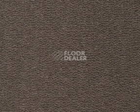Ковролин Best Wool Pure Tasman 169 фото 1 | FLOORDEALER