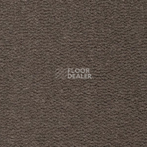 Ковролин Best Wool Pure Tasman 169 фото 1 | FLOORDEALER