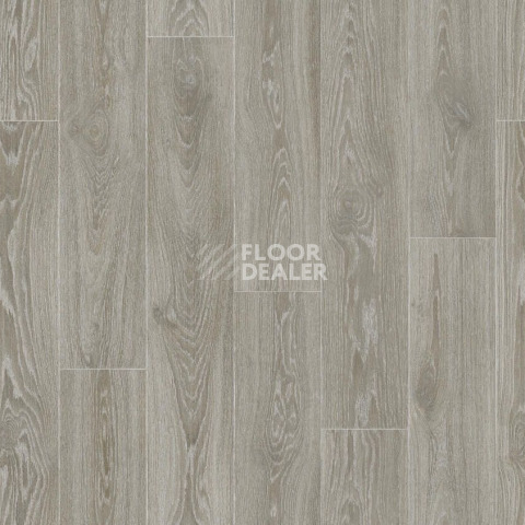 Линолеум Tarkett Gladiator Muskat 11 фото 1 | FLOORDEALER