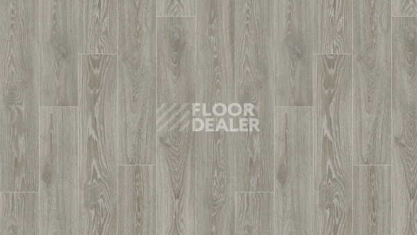 Линолеум Tarkett Gladiator Muskat 11 фото 1 | FLOORDEALER