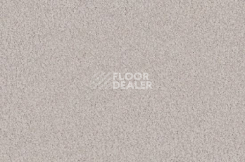 Ковролин Vorwerk Viola 6s38 фото 1 | FLOORDEALER
