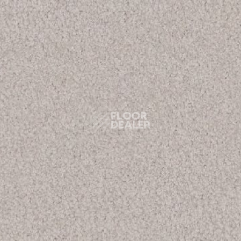 Ковролин Vorwerk Viola 6s38 фото 1 | FLOORDEALER