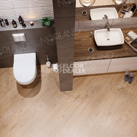 Norland Sigrid Superior 8мм Eli 1008-6 ABA фото 2 | FLOORDEALER